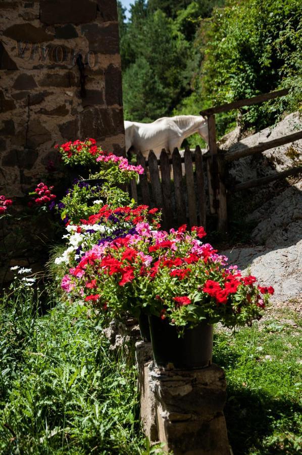 Hostal Santuari De Paller Bagá Εξωτερικό φωτογραφία